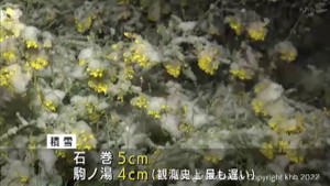 宮城県内で季節外れの雪　石巻で５センチ　仙台でも降雪