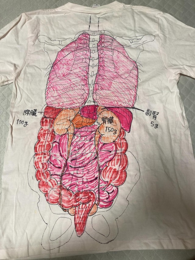 リアルに描かれた臓器／U＿U Nsさん（@u_uns_3023）提供