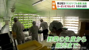 持続可能＝サステナブル農業が始動　野菜の生産から販売まで東北電力が企業や農家とタッグ