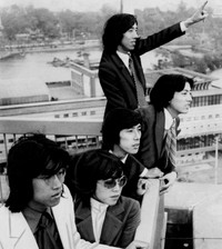 ザ・タイガース（1969年）