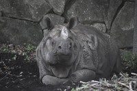 ちょっと斜めからの表情もかわいい