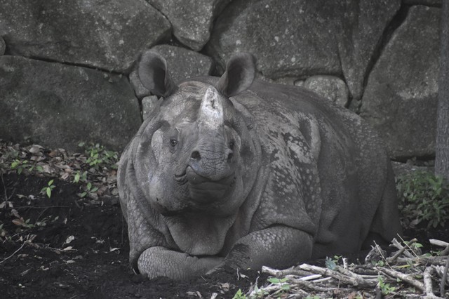 ちょっと斜めからの表情もかわいい