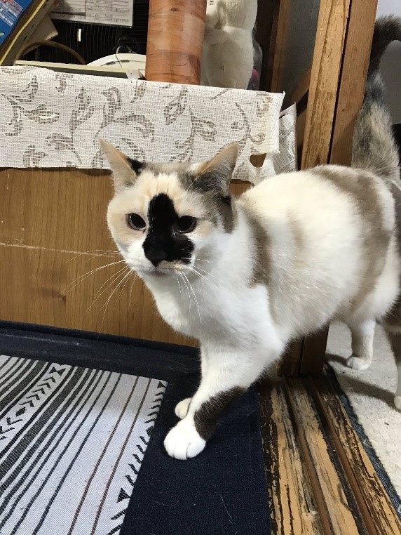 大変身を遂げたハナくん