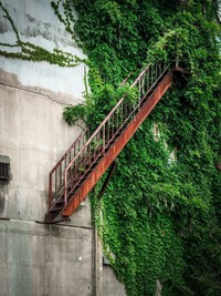 toshiboさんお気に入りのトマソン階段。そのまま降りると大変なことに？（提供：toshibo｜廃墟と写真｜書籍『ゲーム旅』さん）