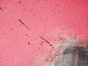 私を嫌いな人は私をブスと言い、私を好きな人は私を美人と言う