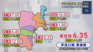 手足口病の感染者が宮城県で今季最多　警報レベルを超える