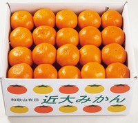 近大みかん（商品／提供写真）