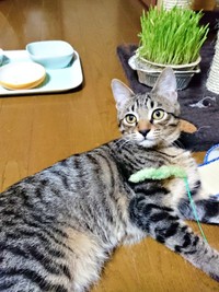 温かいケアを受けて成長していった正宗くん（画像提供：よしゅあさん）