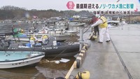 海上保安庁の巡視船から重油が流出　養殖業に影響　宮城・塩釜港