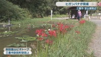 財田里山ビオトープ　三豊市財田町財田上