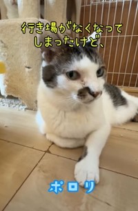 行き場がなくなってしまったけど…写真は、ポロリくん（ひろまろすぎさん提供、Instagramよりキャプチャ撮影）