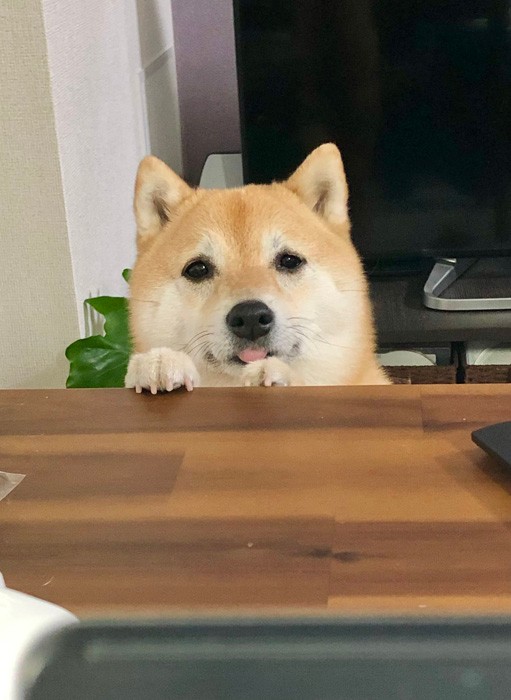 「お仕事、終わった？」（提供：T.Katsumiさん）