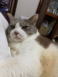 甘えん坊なんです