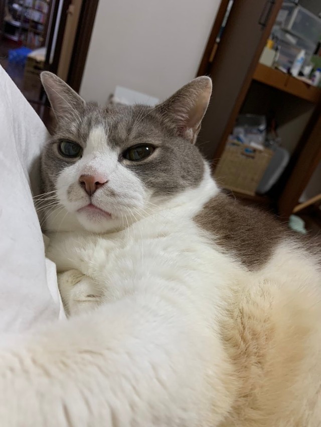 甘えん坊なんです