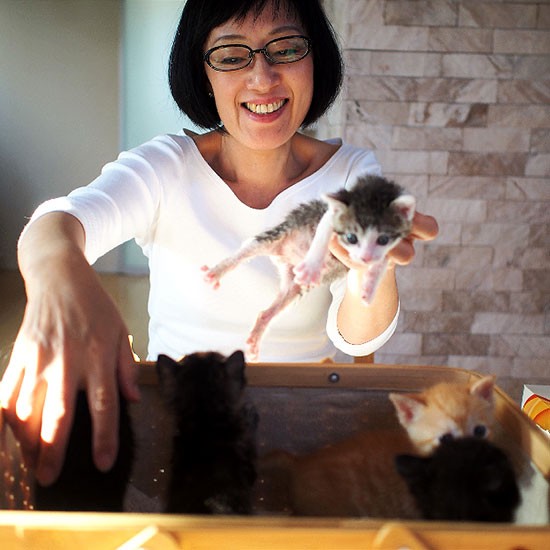 「いちばんお腹のすいてる子はどの子かな？」