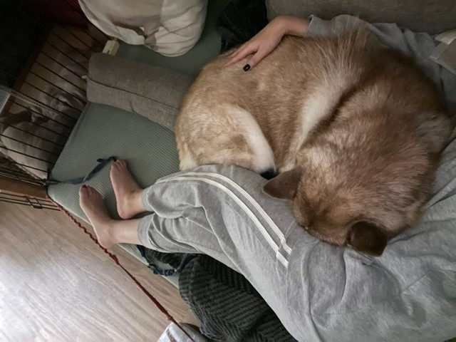 初めてカメムシを食べてしまった時のシャンテちゃん（2023年、当時3歳）。ハマジさんに甘えてます…（画像提供：ハマジさん）