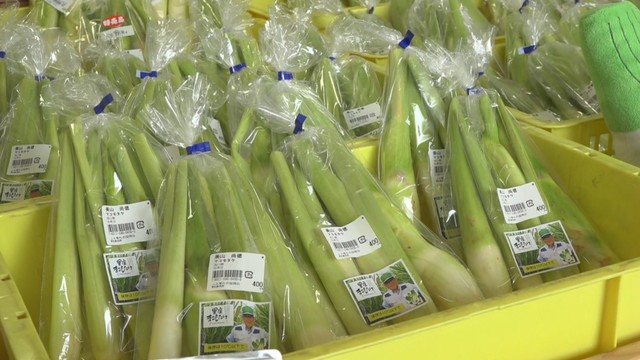 マコモタケ