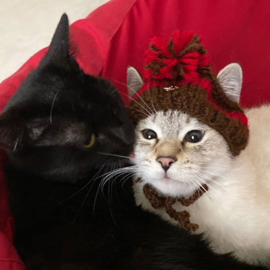 毛糸の帽子、似合ってる？