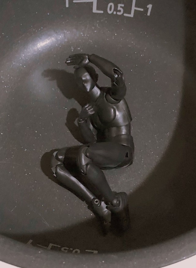 デッサン人形よ、何だそのポーズは？（千景さん提供）