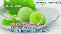 看板商品「陸乃宝珠」　提供：源吉兆庵グループ