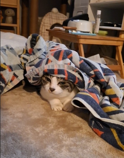 元気だった頃の姿