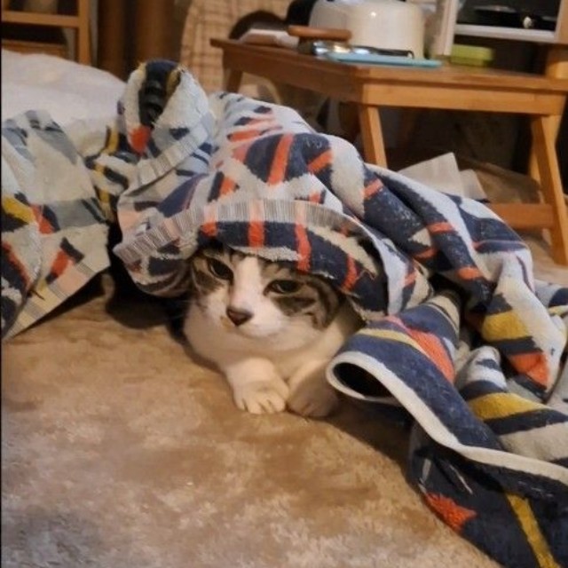 元気だった頃の姿