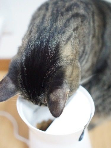 「ふーん、こうなってるのか」