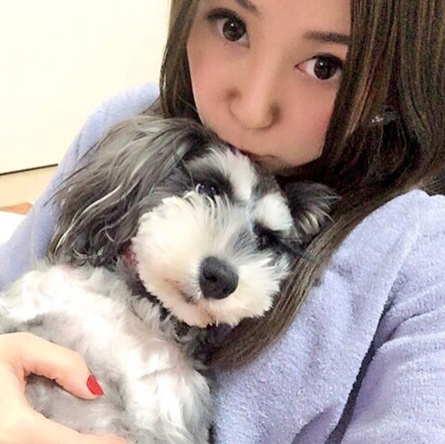 10年前のあつみさんとわらびちゃん