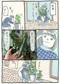 【漫画】『家庭菜園 初収穫の話』3（おべちさん提供）