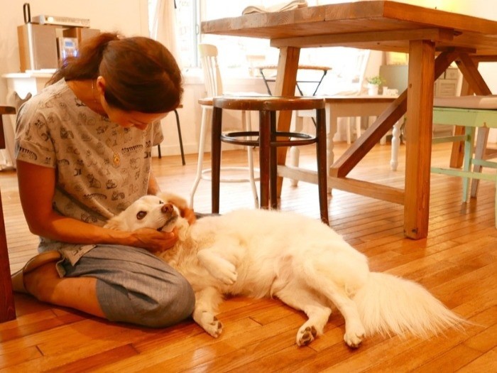 「見つけてくれてありがとう」。たくさんの命が繫がれてきた。きっとこれからも…（太田康介さん撮影）