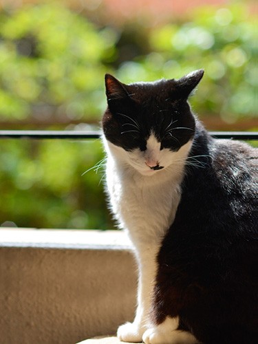 「あれ、俺、今朝トイレ行ったっけ？」（小林写函撮影）
