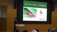 「ピンクバッタは捕食されにくい」高校生が研究成果をプレゼン　知の甲子園「Q-1」で岡山の2校は企業賞