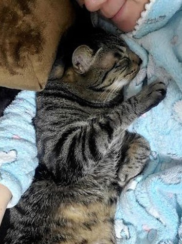 今はその場所にはっぴーがいます