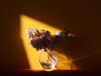 他人の評価に晒されてきた学生時代。社会人になり感じる生きやすさ