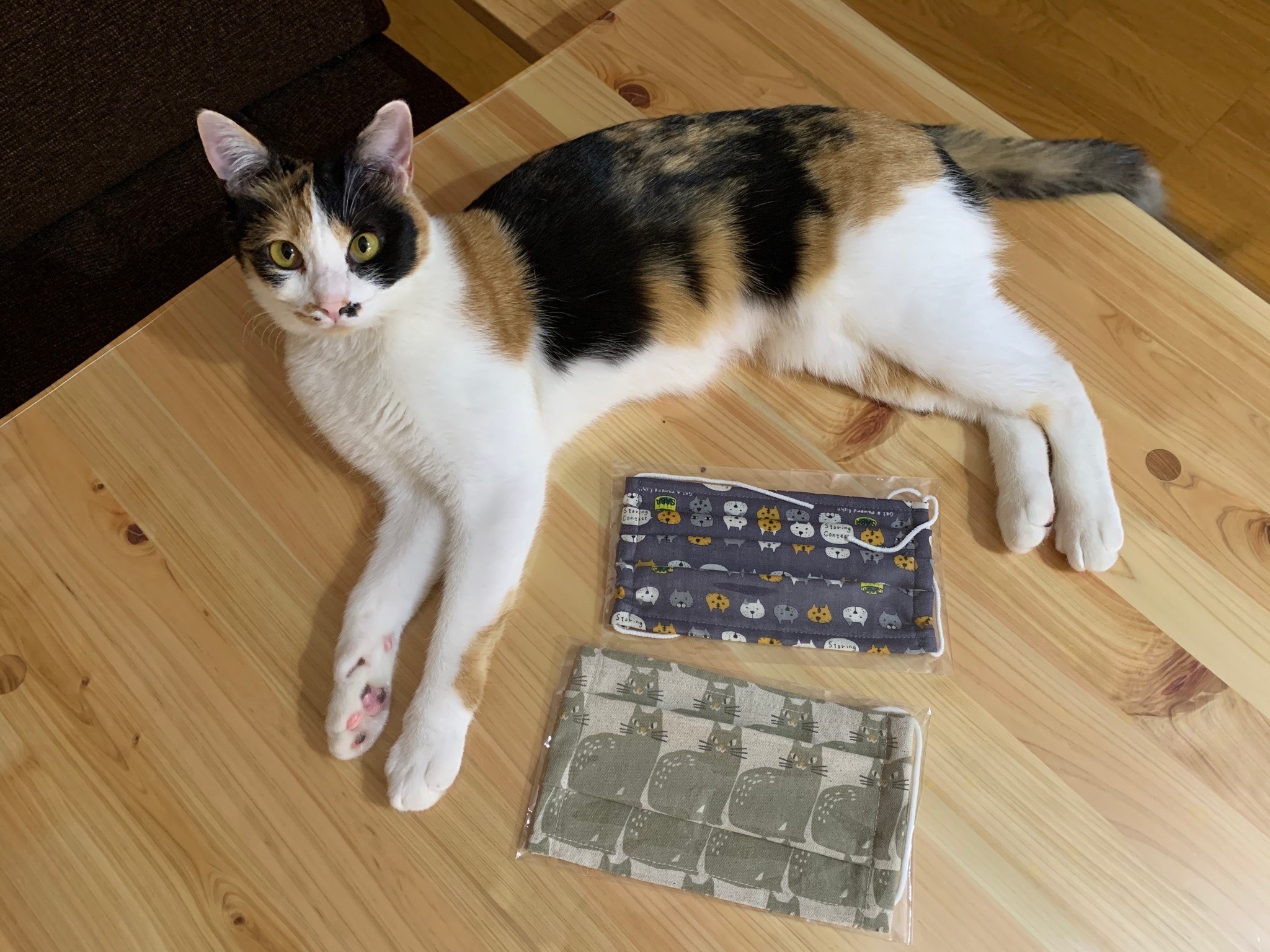 ねこさん ハンドメイド マスク お取り置き ハンドメイドマスク〈いちご〉【ネコポス対応可】 | のんちゃん