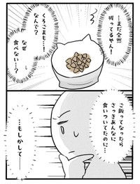 【漫画】『ネコと暮らした9日間』18（イゴカオリさん提供）