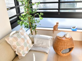 住まいから考える猫の動物福祉　猫も飼い主も快適な家を目指して