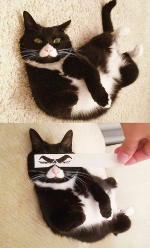 「おくちがハートにゃ？」（へそ天にゃんこ/三笠書房）