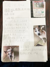 中学生のまっすぐな思いが書かれた「里親募集」の記事