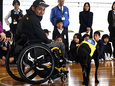 すごいね、介助犬ダイキチ　車いすの男性と小学校で「実演」