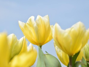 「自分のやりたいことをしなさい」。祖母の言葉に私は二度救われた