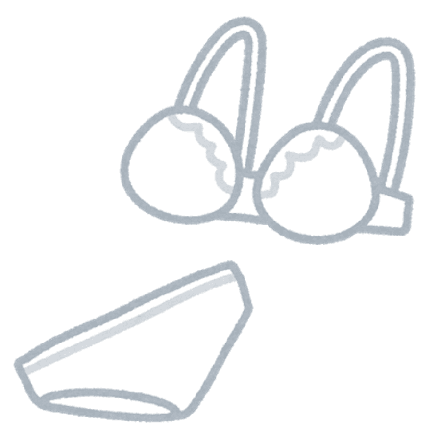 多くの下着ブランドには公式のオンラインストアがあり、ニッセンからも女性用と遜色ないデザインの「トランスジェンダー女性（MTF）」用下着がオンラインで販売されているのだが……