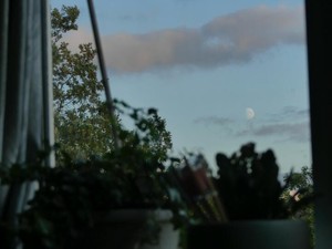 一生続くハードル走のよう。キャリアを描いては打ちのめされるけれど