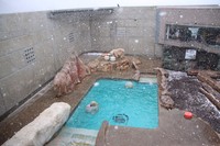 フブキを送る会にはぴったりの天気