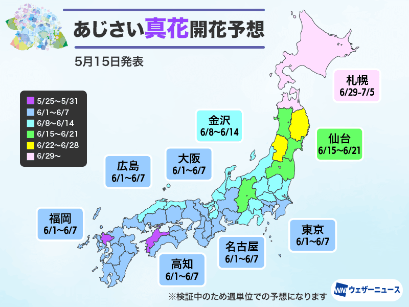 アジサイの開花予想（ウェザーニューズのHPより）
