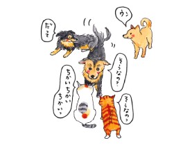 犬らしくなくてもいい　我が家に来た子犬たち、気づけば猫のように顔を洗い一緒に遊ぶ