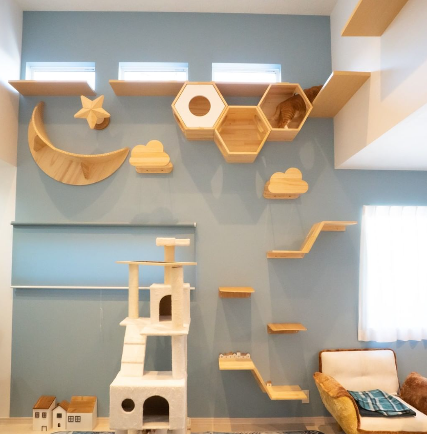 張り巡らされたキャットステップ