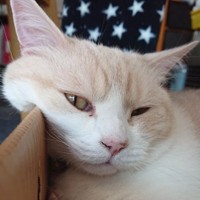 頑張って生き抜いてきた、ふくくん