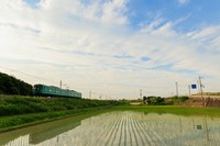 田園と加古川線(yoshitani/stock.adobe.com)