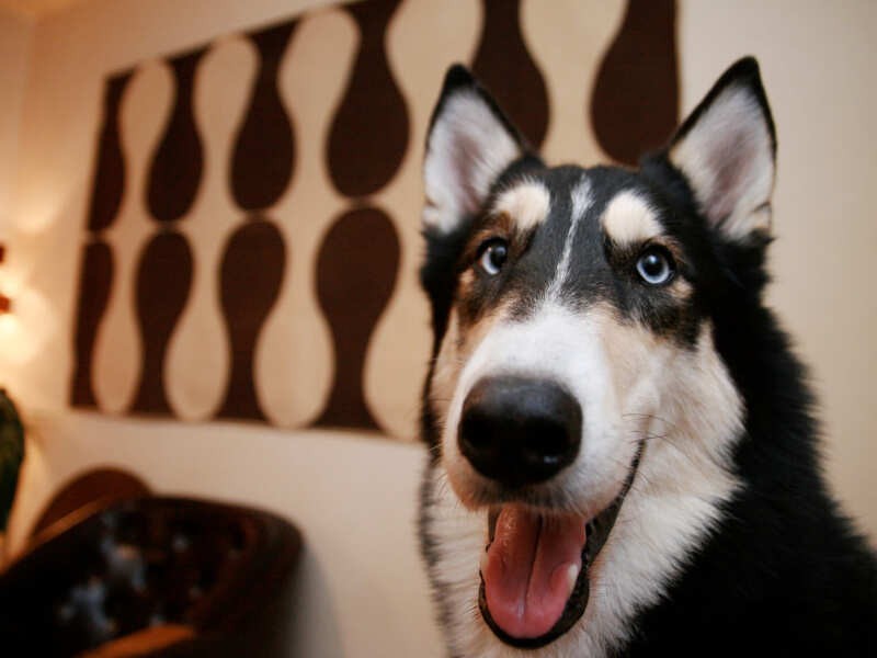 今思えば狭い部屋だった、快適だったけど